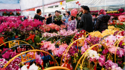 山东青州：“花样经济”激活春节消费新活力