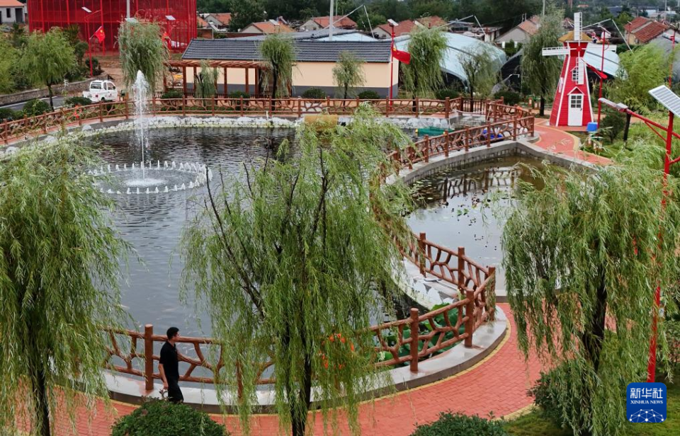 山东青岛：盘活闲置土地 助力乡村振兴