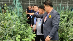 【Hi,Shandong】从“小蓝莓”到“全产业链”带动乡村共富