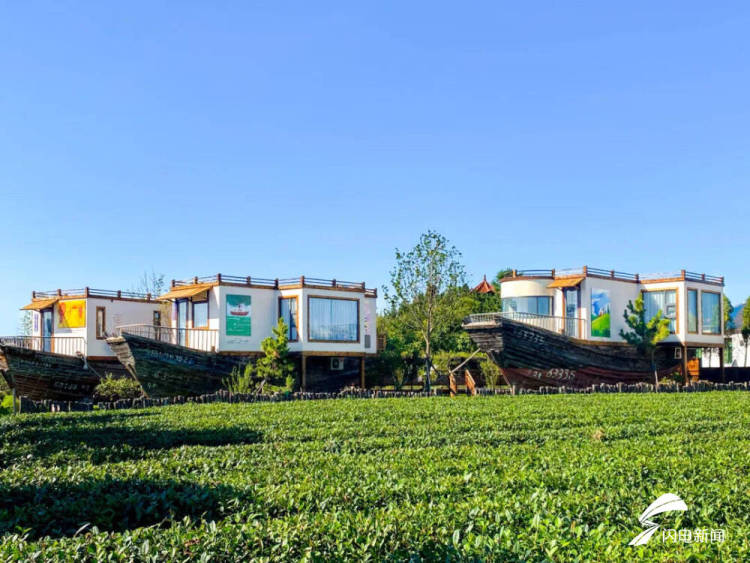 在日照，品一杯听海长大的茶｜青春思政课
