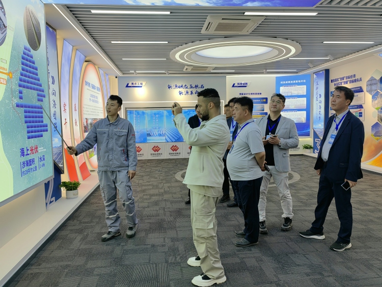 【Hi,Shandong】外媒记者走进东营，探访全球最大开放式海上光伏项目_fororder_国家能源3