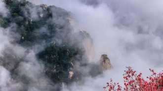 组图丨岱宗秋深 云涛漫染“仙”气十足