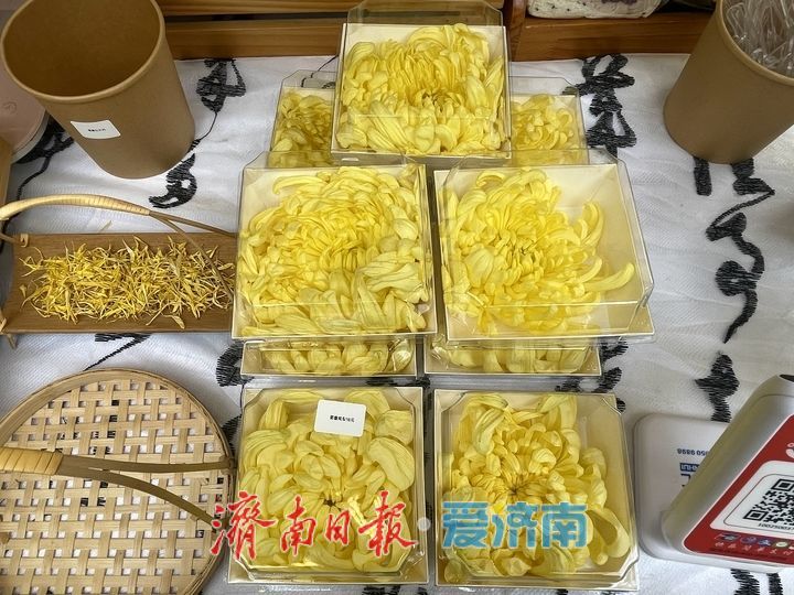 趵突泉菊展人气旺，市集鲜食引客来