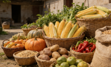 农产品价格合理为何如此重要_fororder_ScreenShot_2025-12-16_091825_482