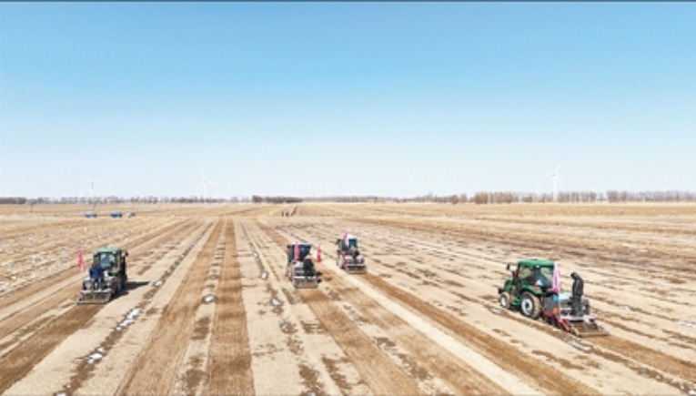 算准时节、配好作物 春耕田实现“一地三收”