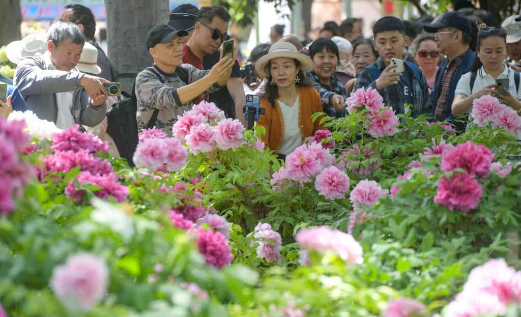 “鲜花+”引领消费新风尚_fororder_202504223674abbe60ca404ea4e014ce8aa40206_dd6d30ca72984be98fb629f8b910ed94