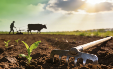 打好春耕主动仗 赢得全年好丰景_fororder_ScreenShot_2026-04-01_112841_048