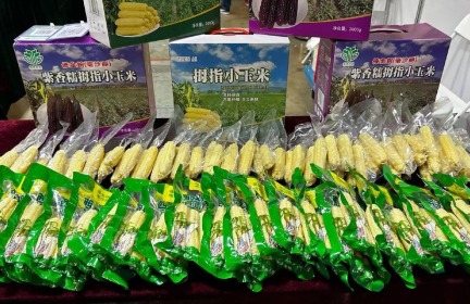 重要农产品务必保持合理自给水平_fororder_e45fc326ce739db2424480bfa42732b4