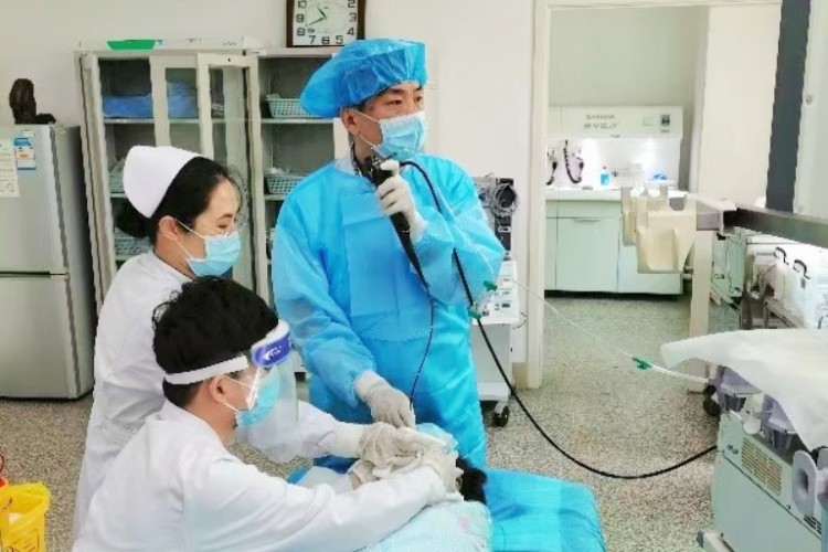 鲁医精诚 | 赵红洋:“一米高度”下的医者微光