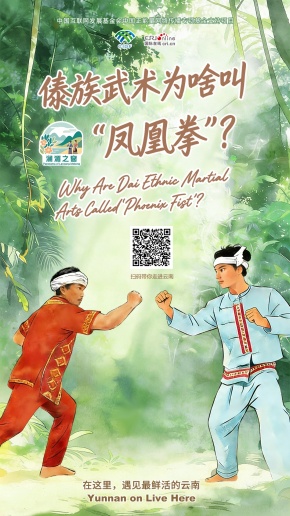 【澜湄之窗】傣族武术为啥叫“凤凰拳”？（海报）