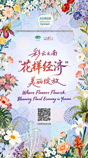 【从云南出发】彩云之南 “花样经济”美丽绽放（海报）