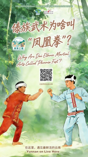 【澜湄之窗】傣族武术为啥叫“凤凰拳”？（海报）