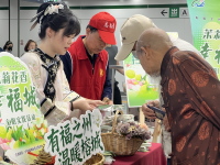 送君茉莉，香满榕城  福州向市民游客赠送30万株茉莉花杆苗