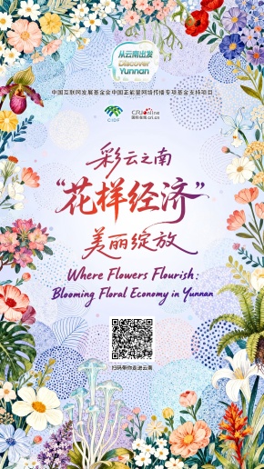 【从云南出发】彩云之南 “花样经济”美丽绽放（海报）