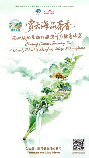【澜湄之窗】赏云海品茶香 西双版纳章朗村邀您开启惬意旅居（海报）