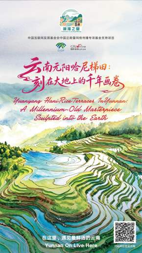 【澜湄之窗】云南元阳哈尼梯田：刻在大地上的千年画卷（海报）