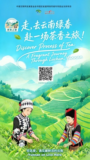 【澜湄之窗】走，去云南绿春赴一场茶香之旅！（海报）