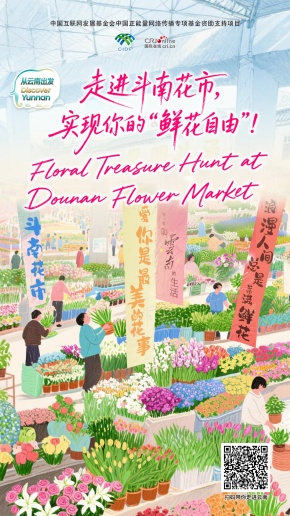 【从云南出发】走进斗南花市，实现你的“鲜花自由”！（海报）