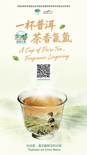 【澜湄之窗】一杯普洱 茶香氤氲（海报）