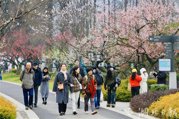 武汉新春成绩单出炉 旅游总收入同比增长12%