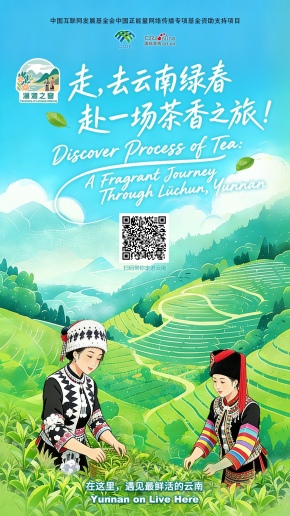【澜湄之窗】走，去云南绿春赴一场茶香之旅！（海报）