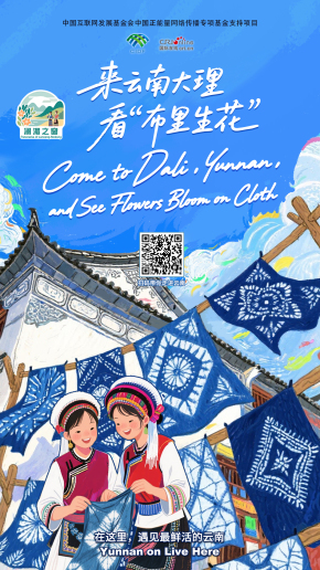 【澜湄之窗】来云南大理，看“布里生花” （海报）