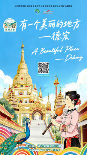 【澜湄之窗】有一个美丽的地方——德宏（海报）