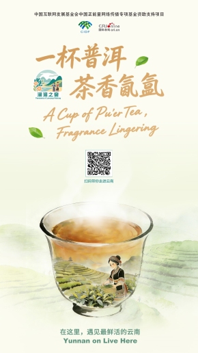 【澜湄之窗】一杯普洱 茶香氤氲（海报）