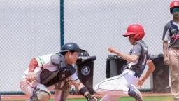 全国近800名青少年棒球选手齐聚佛山挥棒争锋