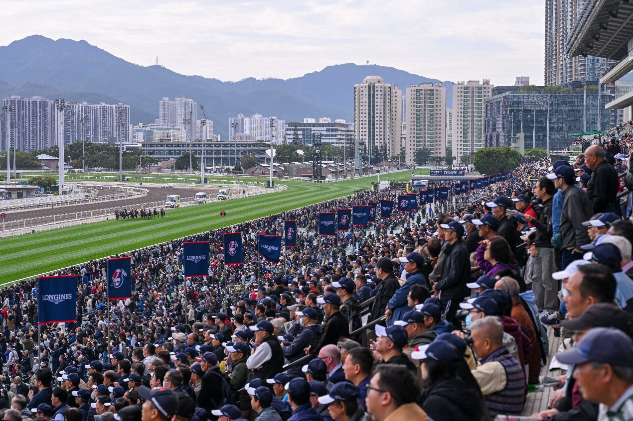 2025������۹�������Բ������ �ο������������������¸�