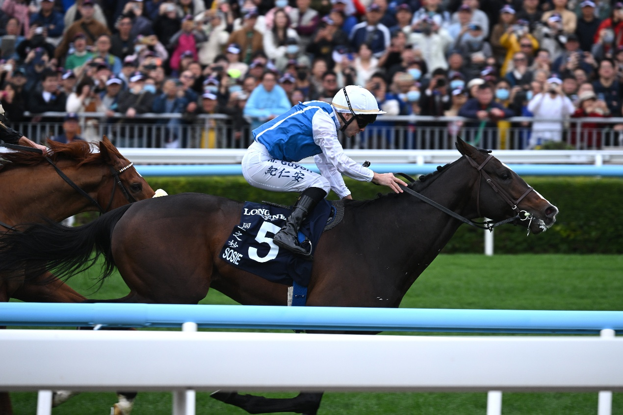 2025浪琴香港国际赛事圆满举行 游客人数创历来赛马日新高