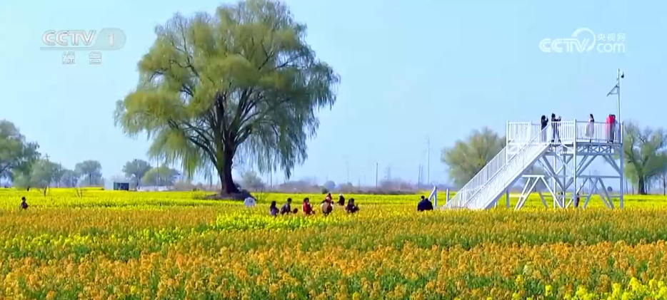 “赏花游”成为农文旅融合新热点 “春日美景”激活消费升级新图景