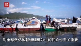 听鉴世界｜造礁珊瑚灭绝风险攀升 全球保护迫在眉睫
