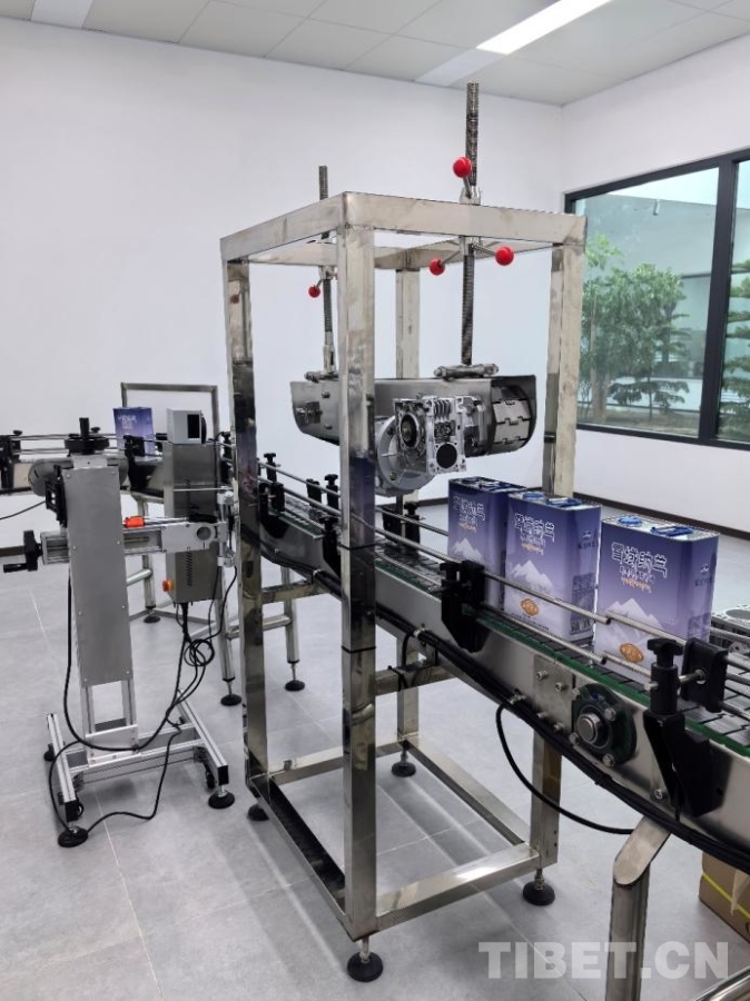 【牢记嘱托 共建美丽新西藏】雪域种油菜 种出乡村振兴好光景 null