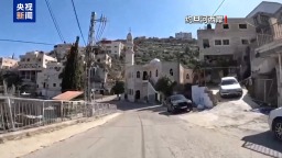 视频丨以方重启约旦河西岸土地登记程序 国际社会多方强烈谴责