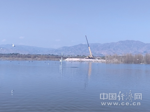 “新”中有你|“红色的山口”擦亮绿色发展的底色