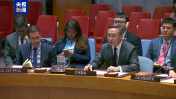 中方：愿为中部非洲地区稳定与繁荣提供更大助力