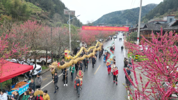 “桃花之约”迎客来 湖南城步社区共建展风采