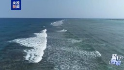 蓝厅观察丨日菲勾连搅局南海 域外势力包藏祸心