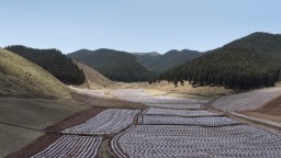 【解码陇原新乡村】武威天祝：特色种植赋能乡村振兴