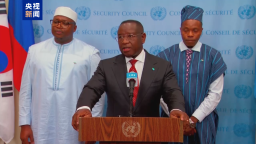 塞拉利昂总统：西共体愿与萨赫勒地区国家共同反恐