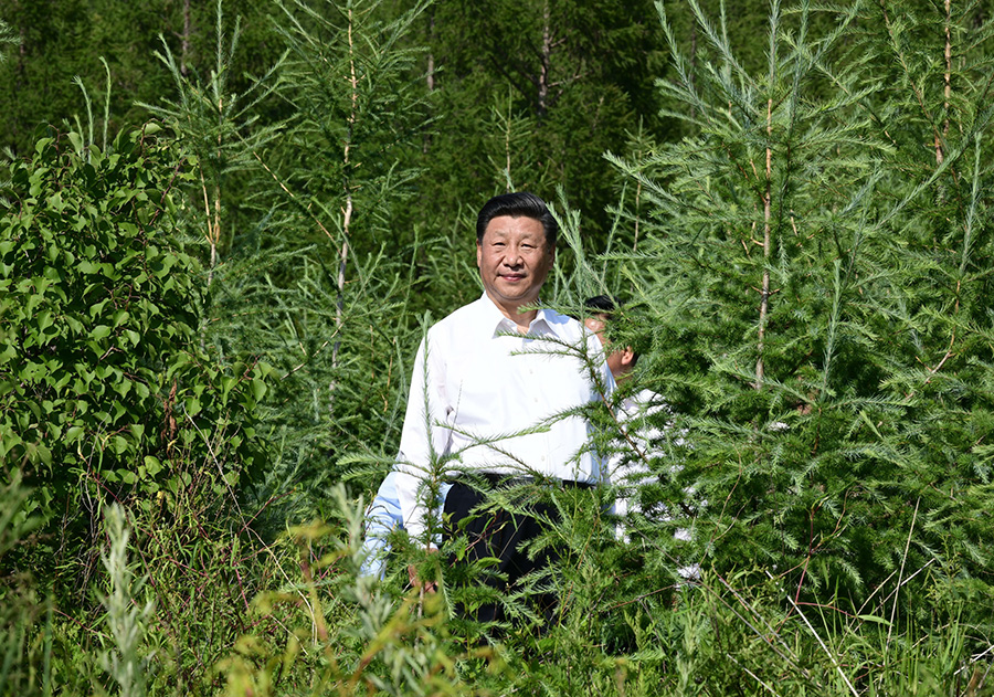 学习进行时|“人不负青山,青山定不负人”