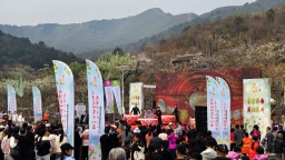 “小花”结出“致富果”——天津市蓟州区第十八届梨园情文化旅游季启幕
