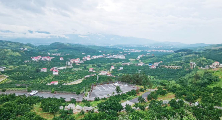 全国最有名的脐橙产地是哪里