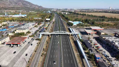 Inner Mongolia Records 39.0362 Million Cross-Regional Passenger Trips During National Day Holiday