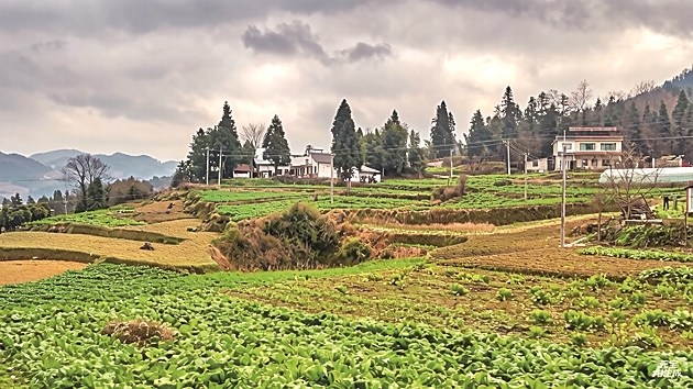 【新春走基层·走进贵州】这些曾经沉寂的村寨,热闹起来了 ——贵州山区走访见闻