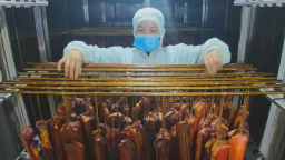 湖南株洲：冬至到 腊味香 腊味生产进入高峰期