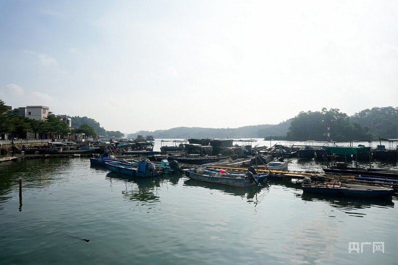何以中國·運河之光|運河通到家門口 漁家吃上“旅遊飯”