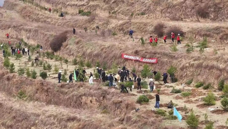 定西岷县以生态保护为笔 绘就高质量发展绿色长卷