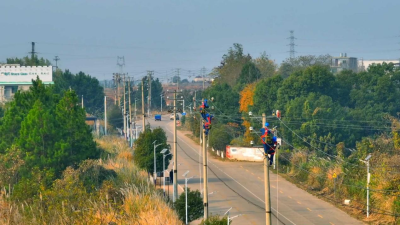 Distribution Network “123” Project Paves the Way to Prosperity